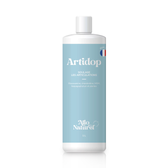 Artidop